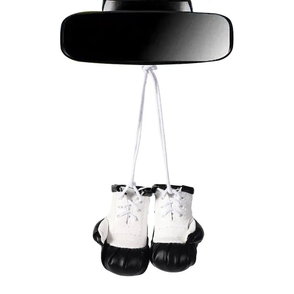 Car Boxing Gloves