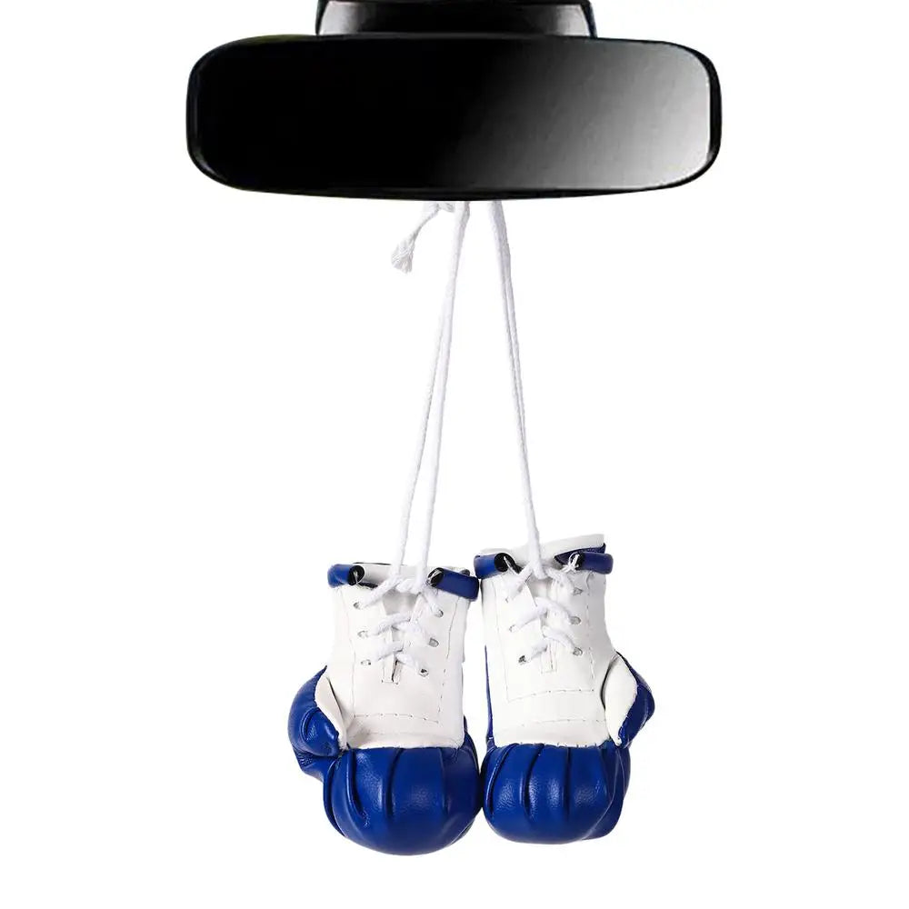 Car Boxing Gloves